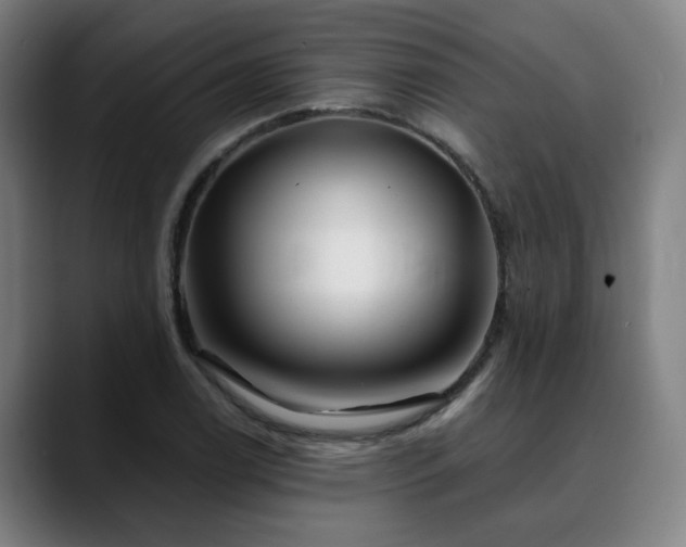 X0000090611122200707171412