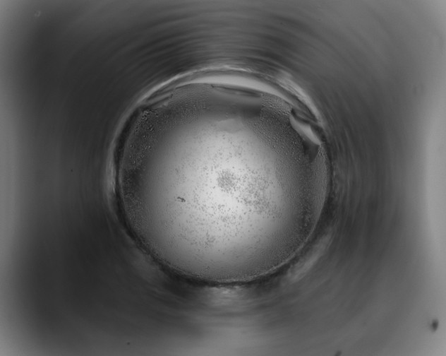 X0000090611125200707171412