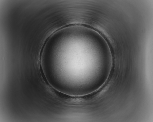 X0000090611129200707171412