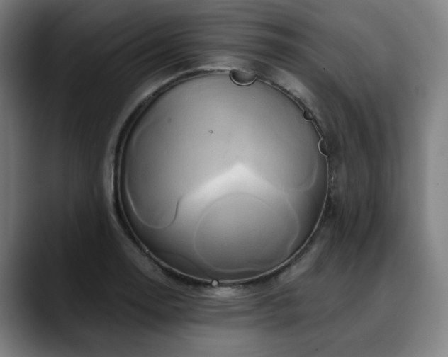 X0000090611130200707171412