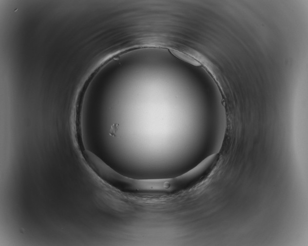 X0000090611147200707171412