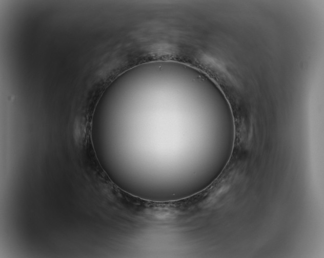 X0000090611157200707171412
