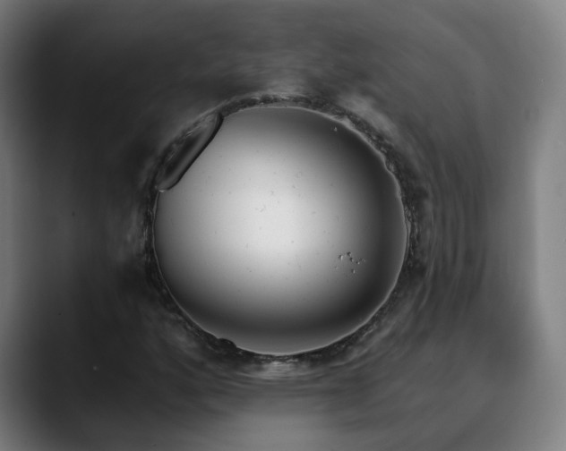 X0000090611160200707171411