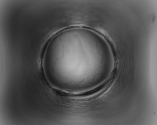 X0000090611167200707171411