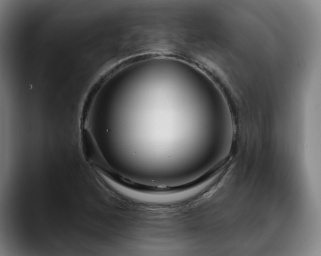 X0000090611168200707171411