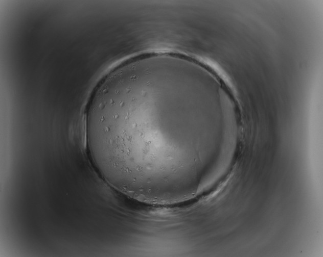 X0000090611175200707171411