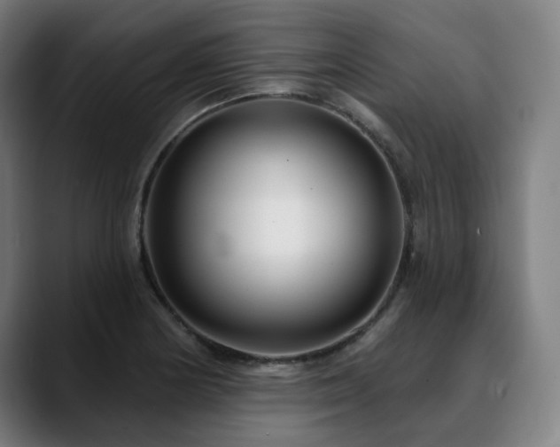 X0000090611178200707171411