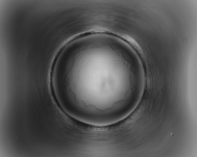 X0000090611183200707171411
