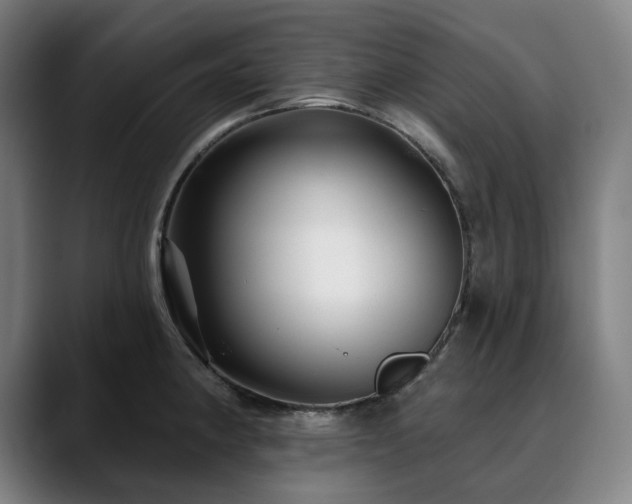 X0000090611190200707171411