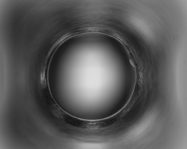 X0000090611198200707171411
