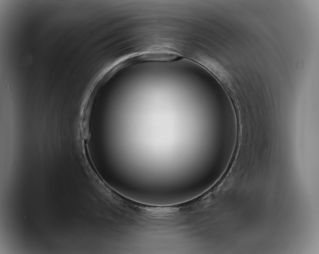 X0000090611200200707171411