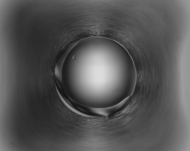 X0000090611202200707171410