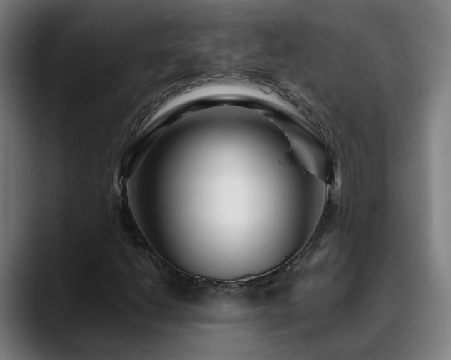X0000090611206200707171410