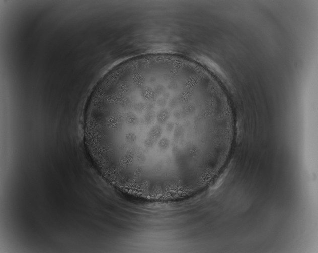X0000090611212200707171410