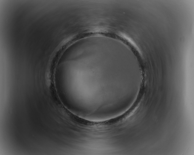 X0000090611213200707171410