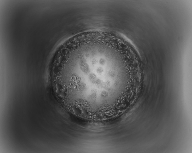 X0000090611215200707171410