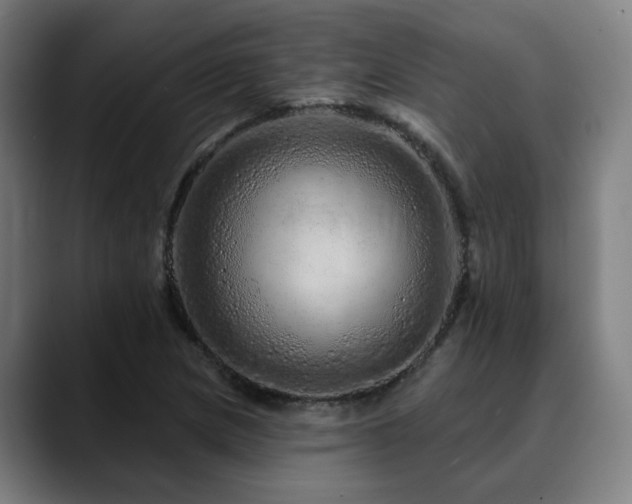 X0000090611217200707171410