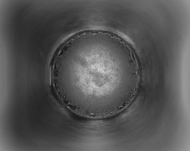 X0000090611223200707171411