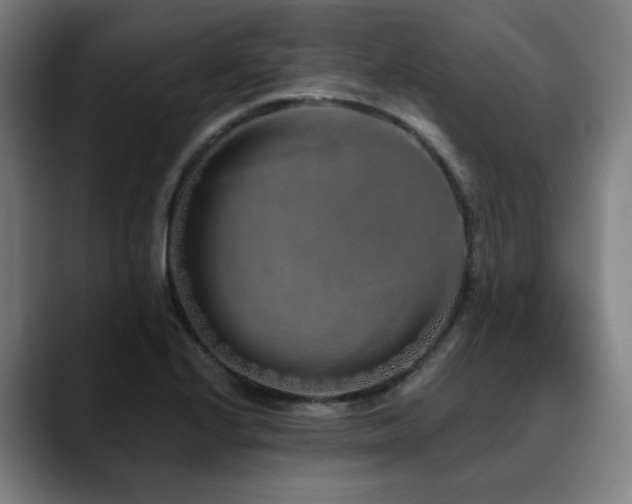 X0000090611224200707171411