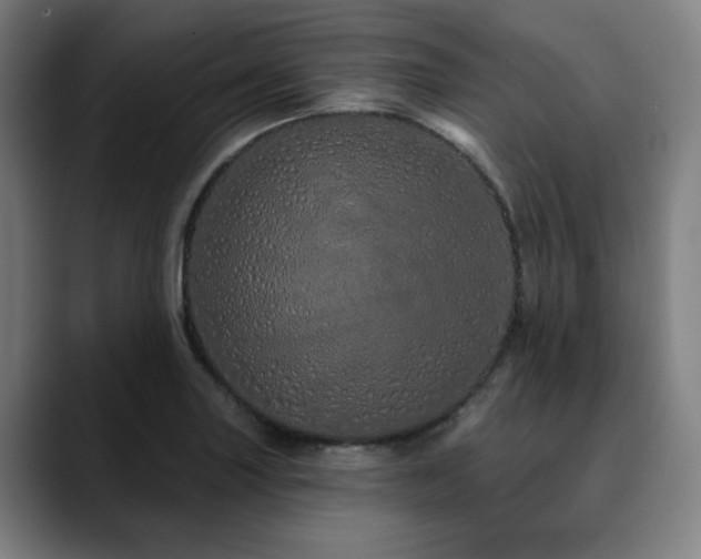 X0000090611227200707171411