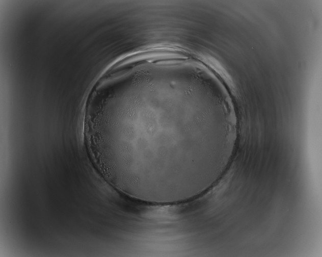 X0000090611228200707171411