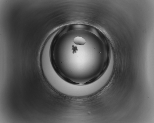 X0000090611230200707171411