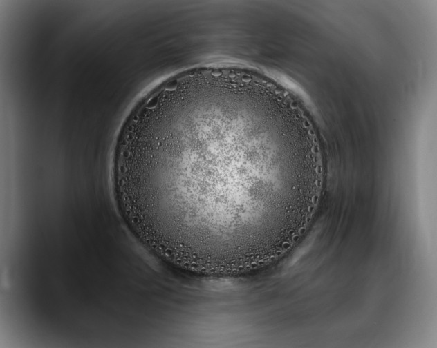 X0000090611231200707171411