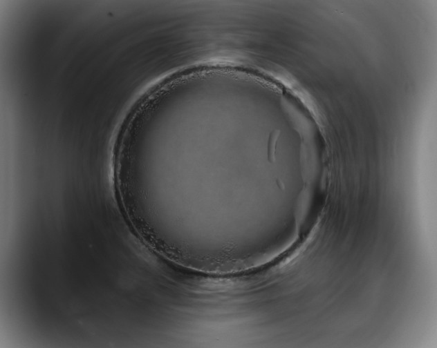 X0000090611232200707171411