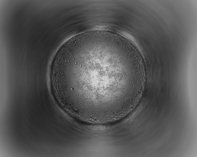 X0000090611235200707171411