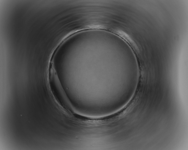 X0000090611236200707171411