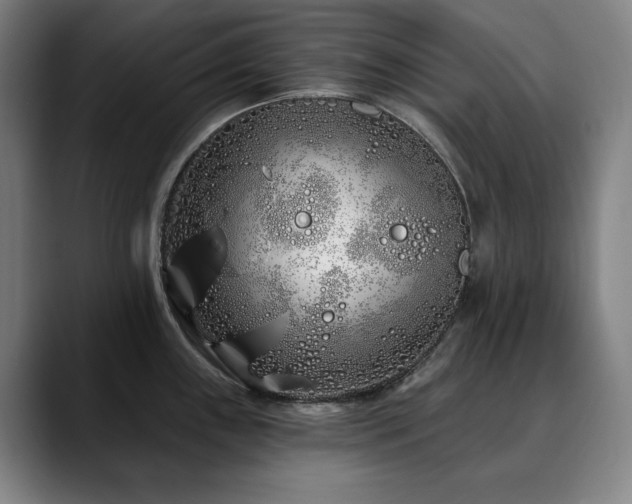 X0000090611243200707171411