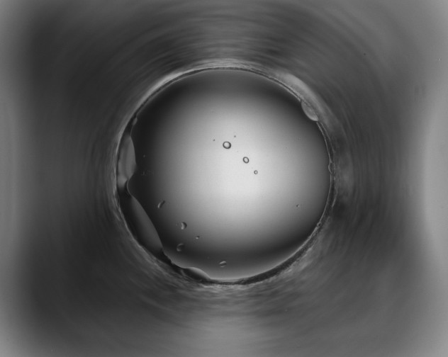 X0000090611244200707171411