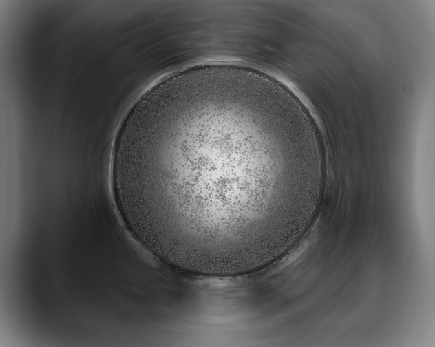 X0000090611245200707171411