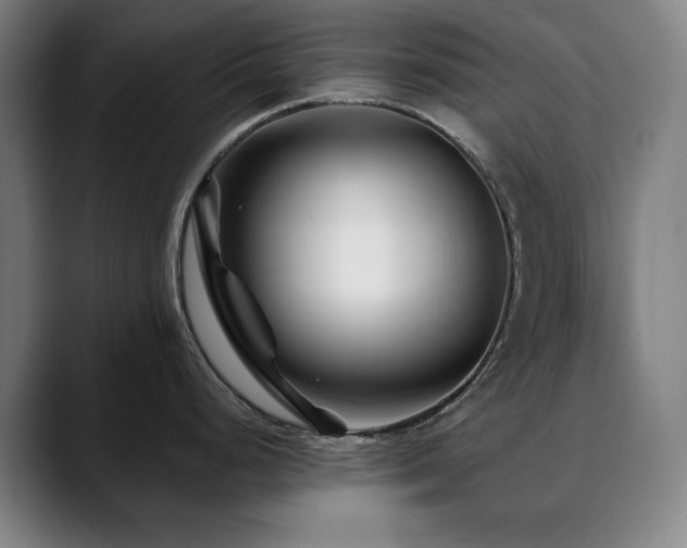X0000090611248200707171411