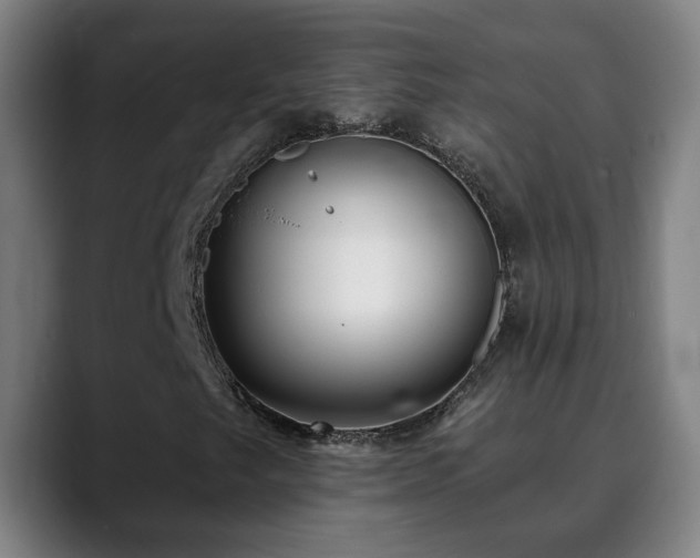X0000090611249200707171410