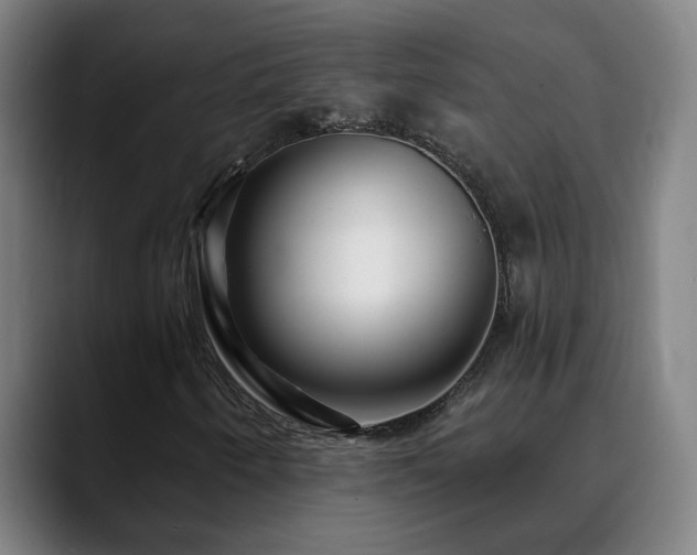 X0000090611250200707171410