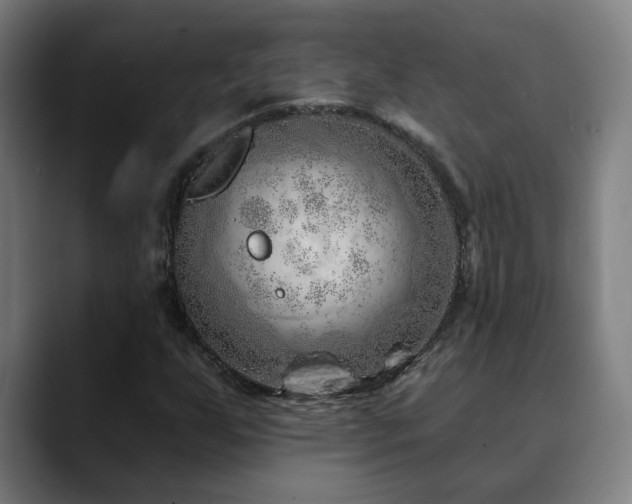 X0000090611255200707171410