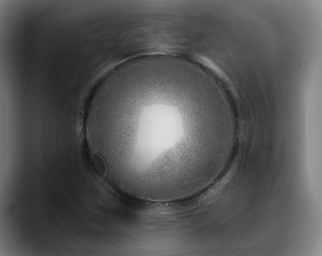 X0000090611259200707171410