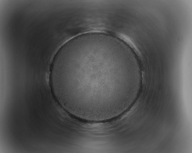 X0000090611260200707171410