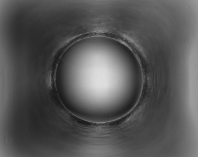 X0000090611262200707171410