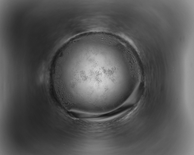 X0000090611263200707171410