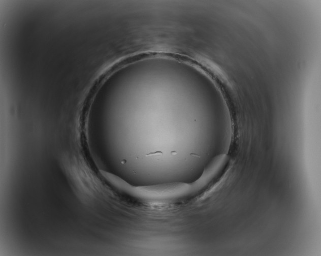 X0000090611264200707171410