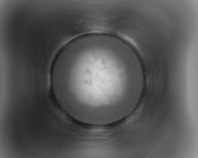 X0000090611267200707171410