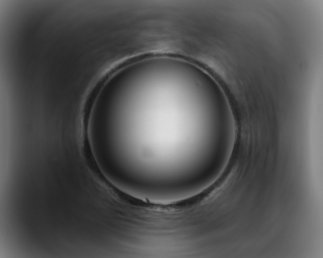 X0000090611270200707171410