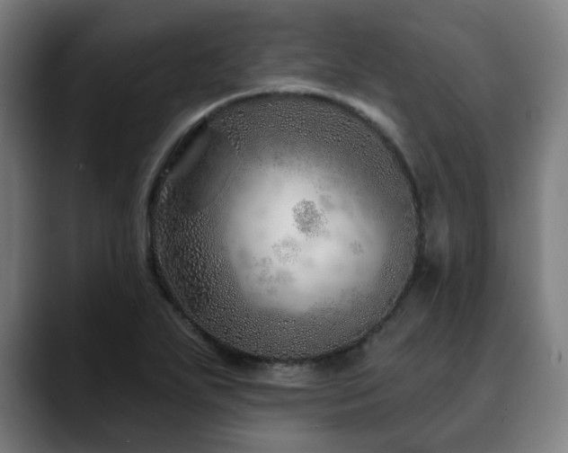 X0000090611271200707171410