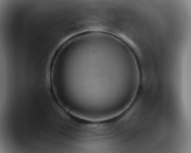 X0000090611272200707171410