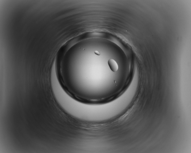 X0000090611273200707171410