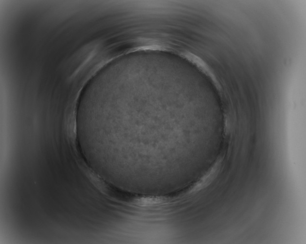 X0000090611274200707171410