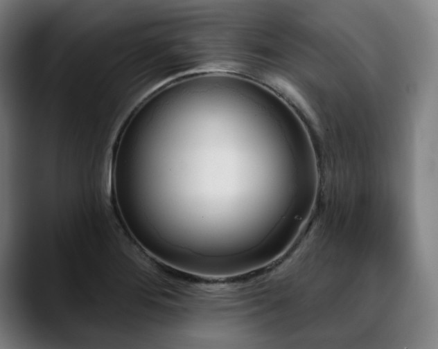X0000090611276200707171410