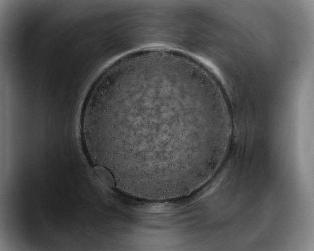 X0000090611279200707171410